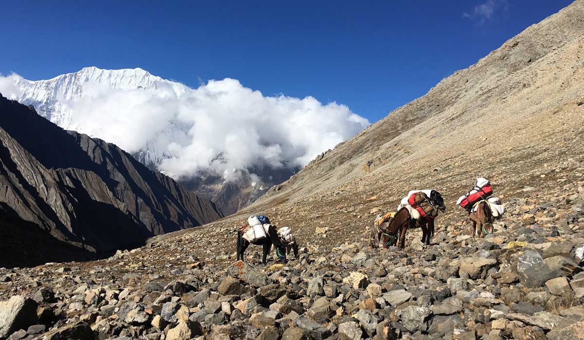 Upper Dolpo Trek in Nepal